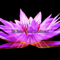 The Opening - Lullabies for Deep Meditation