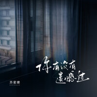你有没有遗憾过 - 苏星婕