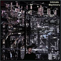 Dynamite Fields - Damon Smith