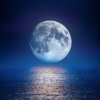 El Sueño Llama Suavemente Ahora - Lo que pasa con el ruido & Proyecto Tormenta Global & Bosque Ocupado