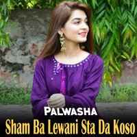 Ta Rata Kame Khbare Kawali - Palwasha