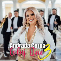 Colaj Etno 3 - Andrada Cerna