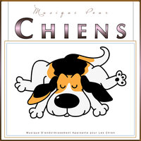 Musique Guitare pour Animaux - Musique Calmante Pour Chiens & Musique D'Endormissement Pour Chiens & Musique pour Chiens