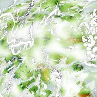 Chant - FLVXXX & A-Tweed