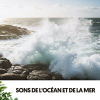 Essenz des Friedens - Dog Relaxation & Ocean Sounds Plus & Travail Bureau France