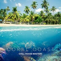 Fluid Vibes - Chill House Masters