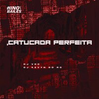 Catucada Perfeita - DJ VDC & Dj Kevyn do RC