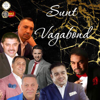 Gelozia - Vali Vijelie