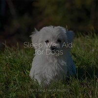Soft Rains Will Come - Music for Dog's Ear & Music for Pets Library & Music for Leaving Dogs Home Alone