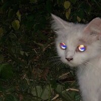 мефедроновый чувак - AFFAFF