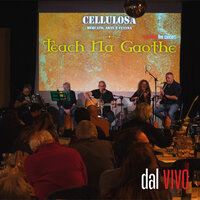 Blackbird - Teach Na Gaothe & Casa Del Vento