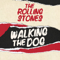 Stray Cat Blues - The Rolling Stones