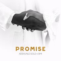 Promise - Adekunle Gold and Simi & Adekunle Gold & Simi