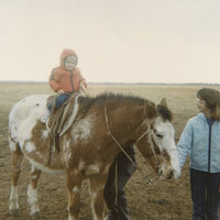 Low Noon - Steve Battles