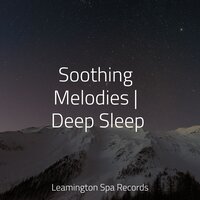 Meditation Music - Guided Meditation & Soothing Nature Sounds & Massage Tribe