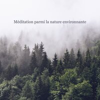 Oiseaux Chantants - Nature Meditation Academy