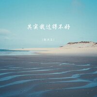 其实我过得不好 - 彤大王