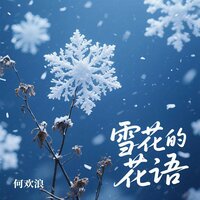 雪花的花语 - 何欢浪
