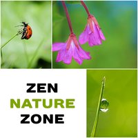 Snowstorm: Zen Meditation - Mothers Nature Music Academy