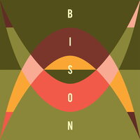 Travellers - Bison