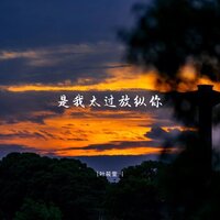 是我太过放纵你 - 叶筱萱