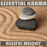 Mythical Rainforest - Essential Band