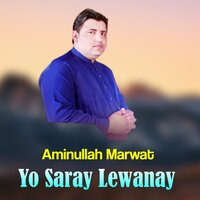 Yo Saray Lewanay - Amin Ullah Marwat