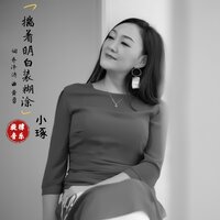 揣着明白装糊涂 - 小琢
