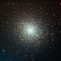 Human Experience - Gannein & Ket Robinson