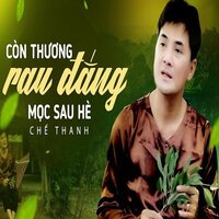 Giọt Lệ Đài Trang - Chế Thanh