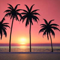 Killing Me Softly With His Song - Covers Unplugged & Wild Issues