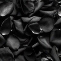 Not Like Dis - Donae'o