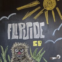 Show Me - Flipside