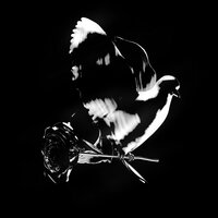 Mood Swings - Pop Smoke & Lil TJay & Summer Walker