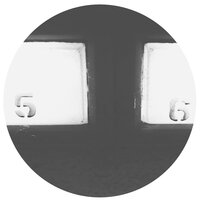 Informant - Sierra Sam