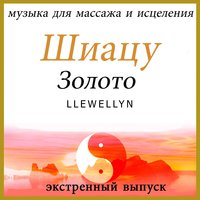 Шиацу Золото: музыка для массажа и исцеления - Llewellyn