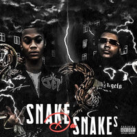 Snake da Snakes - JctSavage & FWC Big Key