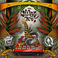 Toosie Slap - Theory Hazit