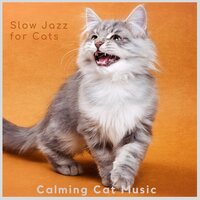 Cats on the Table - Calming Cat Music