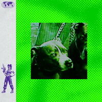 Flashlight - Diplo & Juicy J & Project Pat