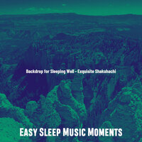 Background for Resting - Easy Sleep Music Moments