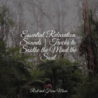 Softer Modes - White Noise Sleep Sounds & Massage Tribe & Massage Music