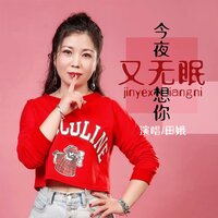 今夜想你又无眠 - 田娥