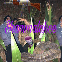 piccolip - Balla & piccolz