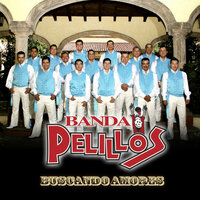 Te Extrañare - Banda Pelillos