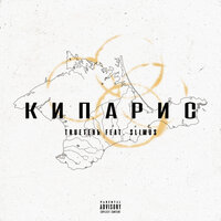Кипарис - TRUEтень & SLIMUS