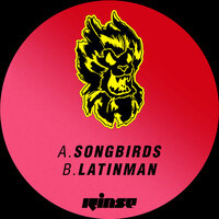 Latinman - Courage
