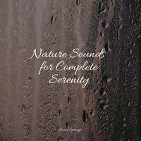 River, Close, Birds, Forest - Sonidos De Lluvia y Tormentas & Sleep Meditation Dream Catcher & Pro Sounds of Nature