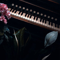 Baby It's Cold Outside - Covers Unplugged