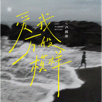 爱我万般模样 - 卢润泽